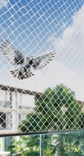 Delhi bird net installation